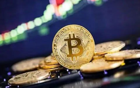 币圈哪个平台最好|全球虚拟币交易平台软件排行-第4张图片-芝麻交易所下载